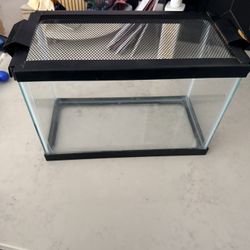 Glass Cage For Reptile.