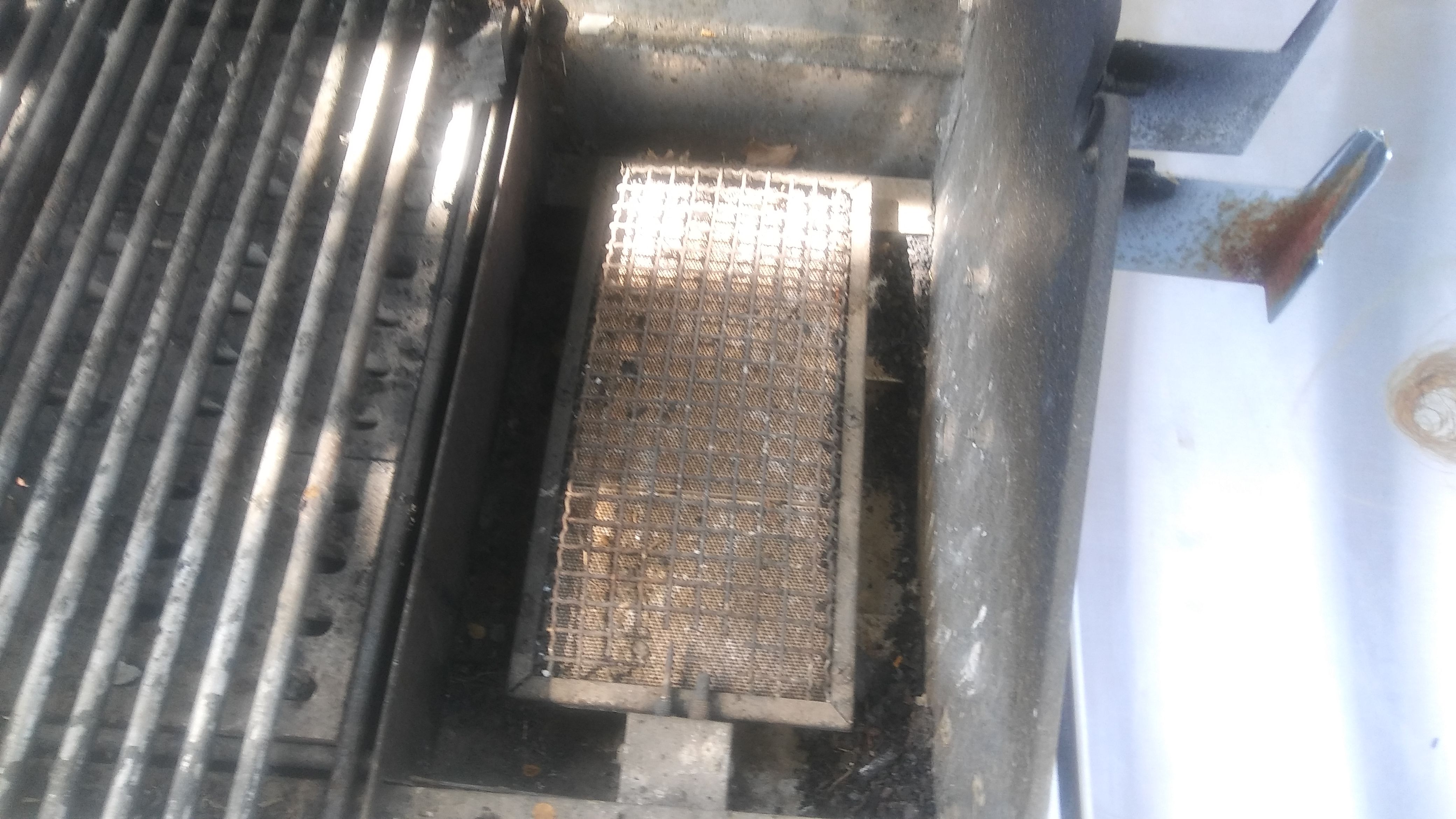 Professional gas grill