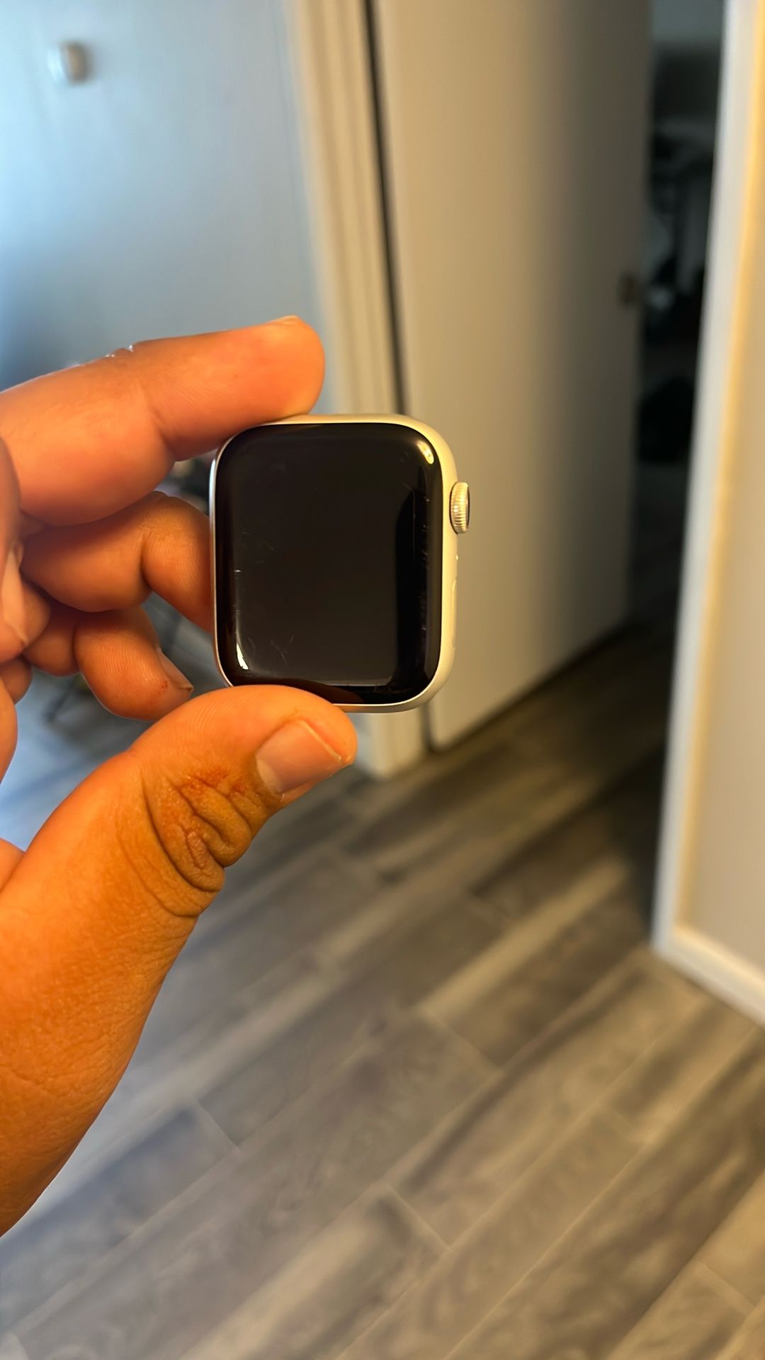 Apple Watch Series 9 (45 mm)