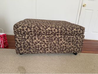 Ottoman/sleeper