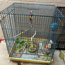 Bird Cage 