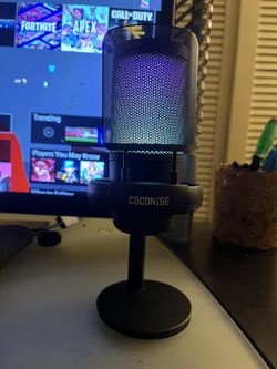 Gaming mic
