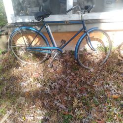 2 Bicycles 1960s? 70?  Choice Of 1.  $18.  Odd Girls Gone