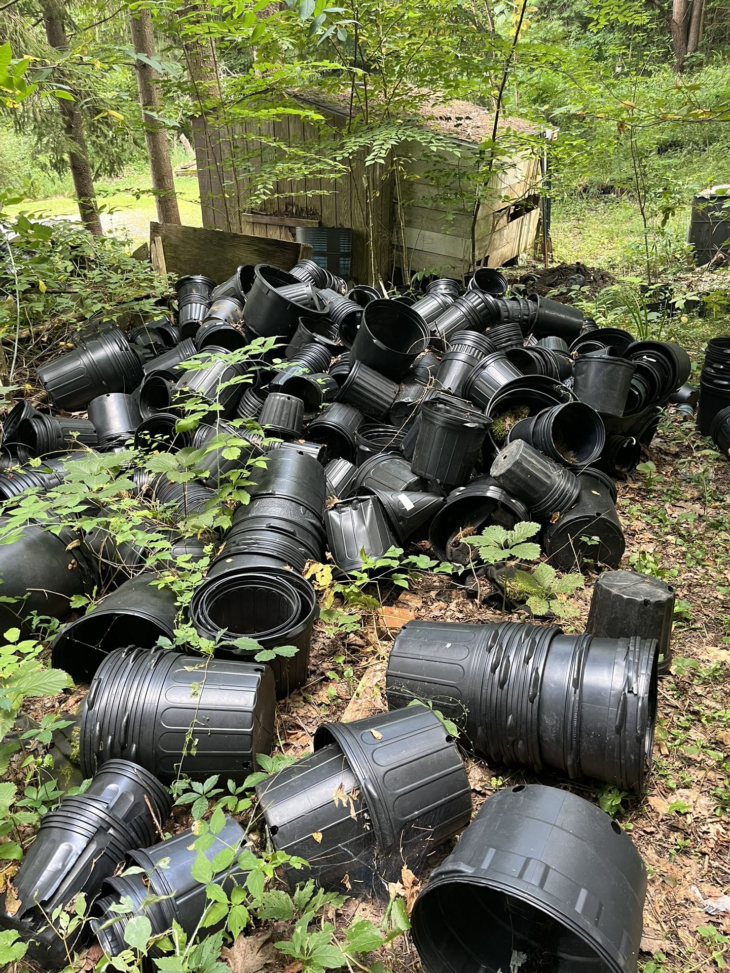 Free Pots For Plants