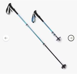Trail Back Trekking Poles - Pair