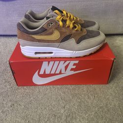 Nike Air Max 1 “Ugly Duck”