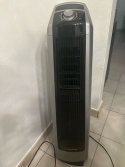 Floor fan