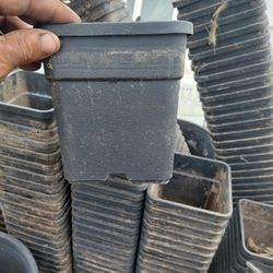 2 Gallon Nursery Plant Pot's 