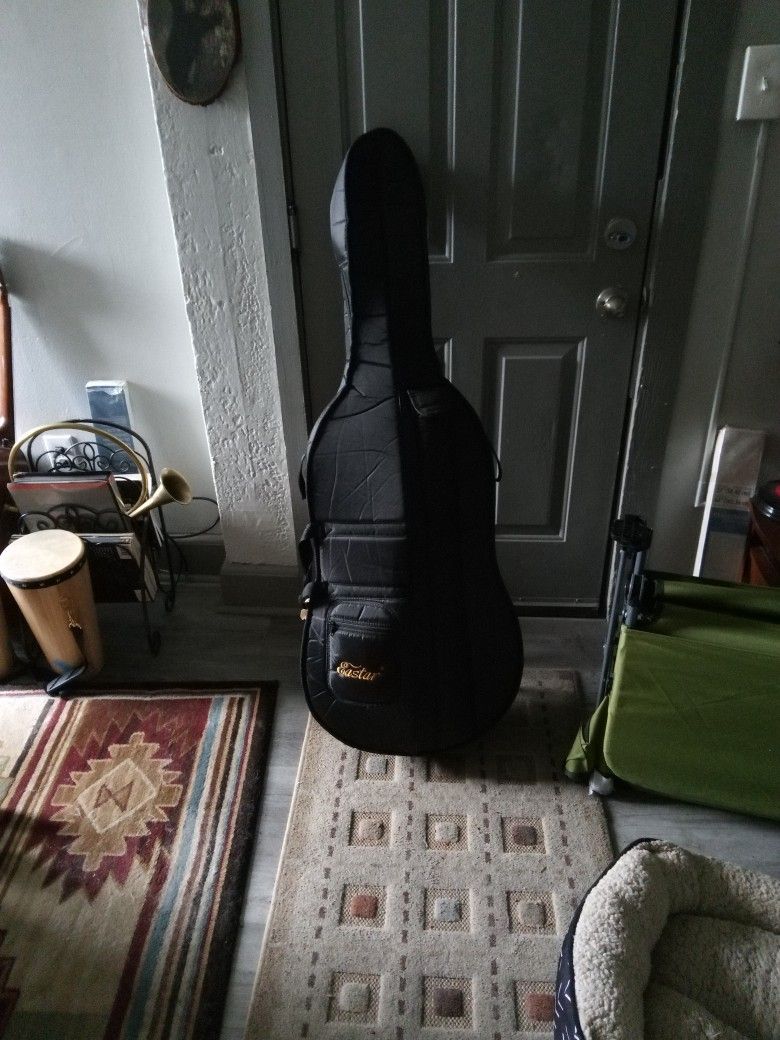 Easter Cello I'm Case New Condition
