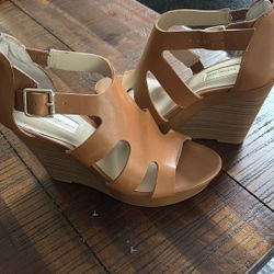 Wedges From “international Concepts”