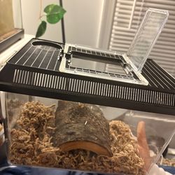 Small pet enclosure travel size