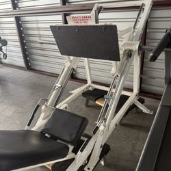 Leg Press - Body Masters Plate Loaded