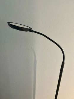 Black LED Gooseneck Floor Lamp