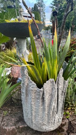Custom handmade planter