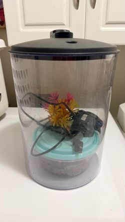 3 gallon fish tank