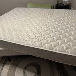 Free Innerspring Mattress