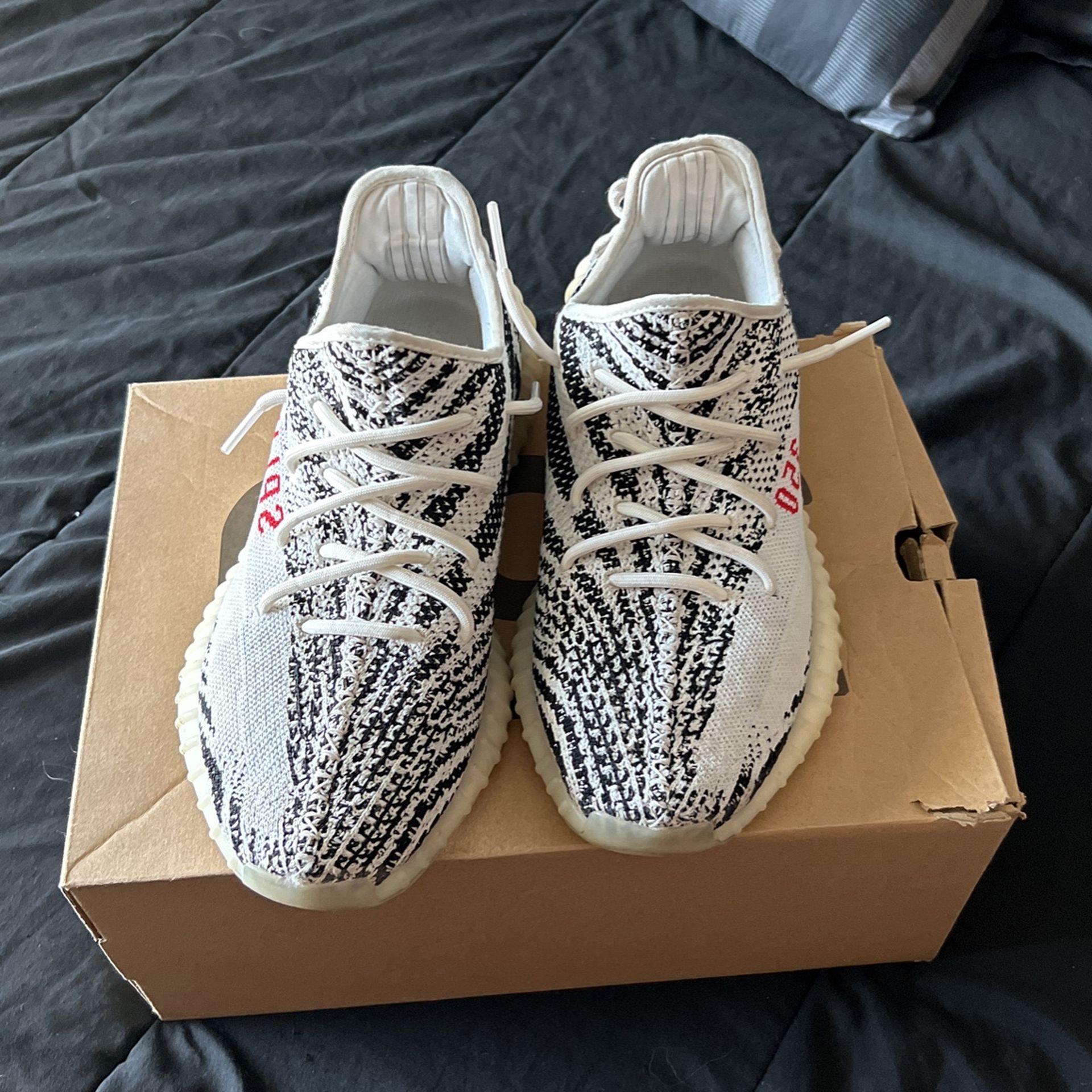 Yeezy 350 Zebra Size 10