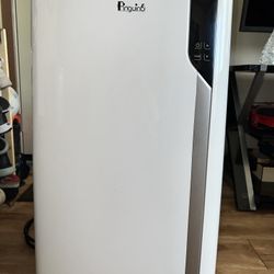 De'Longhi Pinguino portable air conditioner