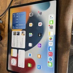Apple iPad Pro 12.9 Inch 256 GB 