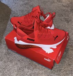 Brand  New Puma Cell Vive Evo