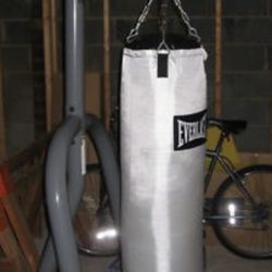 Everlast Punching Bag Stand (used)