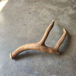 Door antler