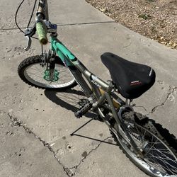 Next Turbo Kids BMX Bicycle