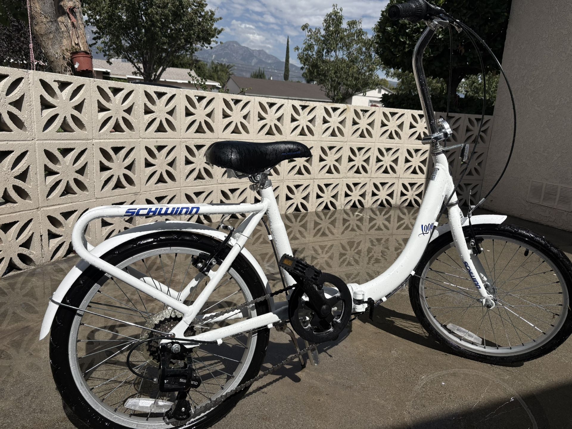 Schwinn loop travel bike