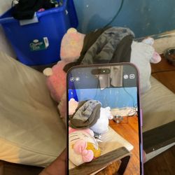 iPhone 16 Plus 