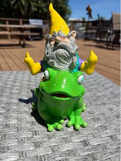 Garden gnome on frog statue