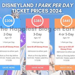 Low Price All Disneyland Tickets 75$