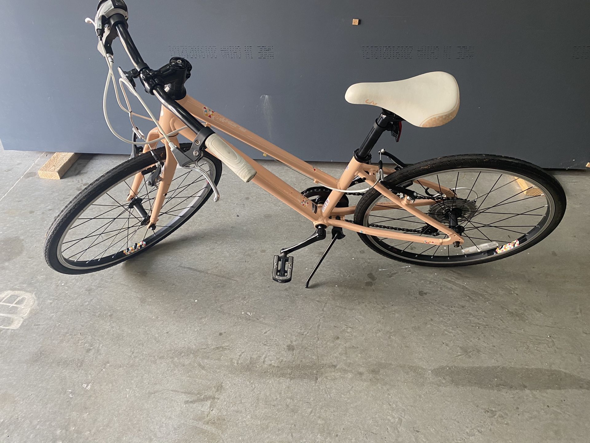 Giant bicycle for youth kids