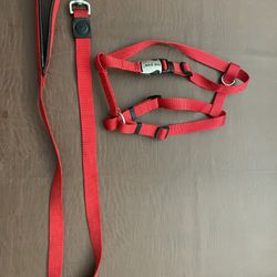 Dog Leash and Harness