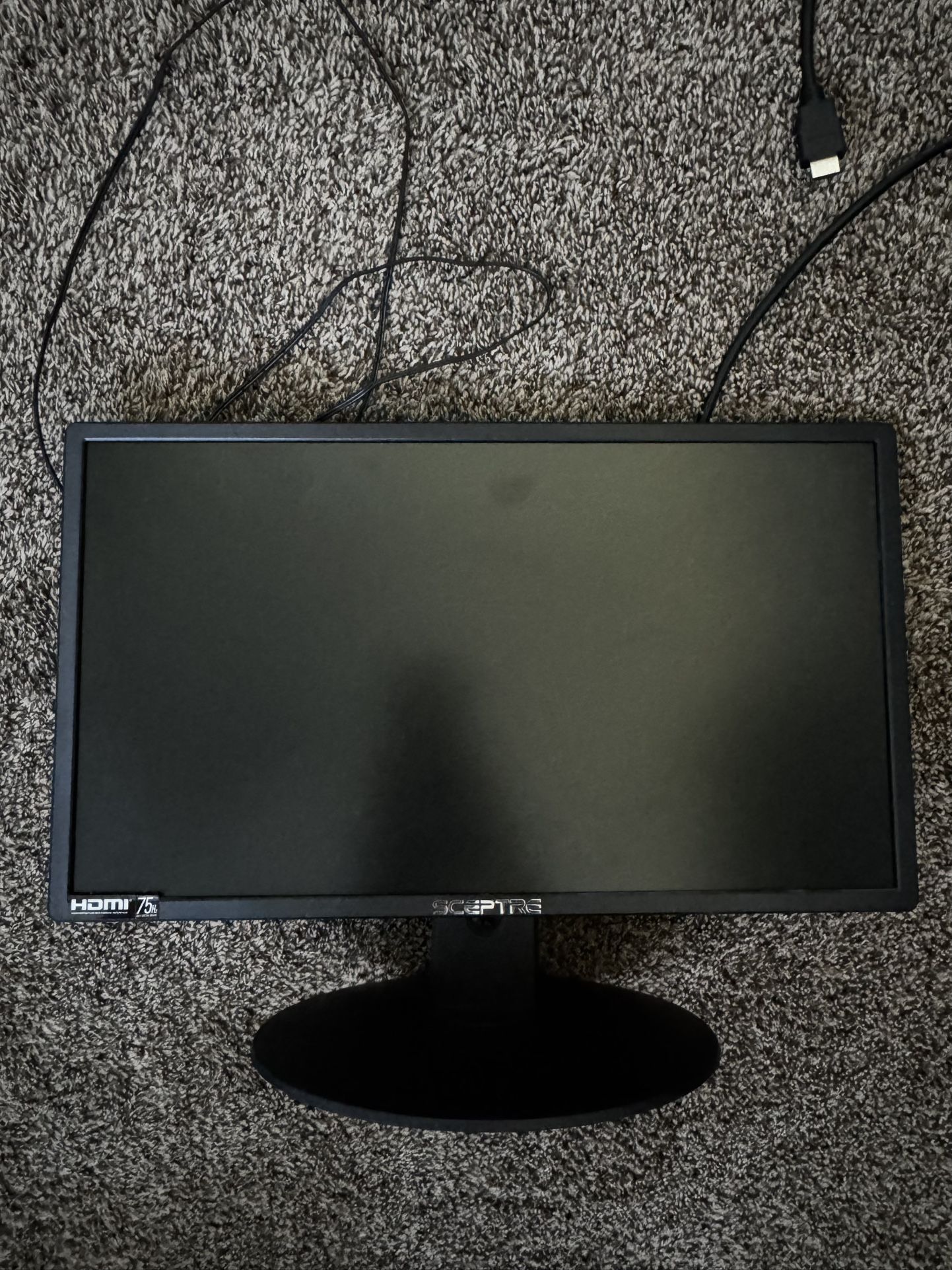 Spectre 20” Computer Monitor