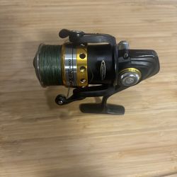 Fishing reel