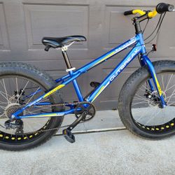 24-in Fat Tire Bicycle