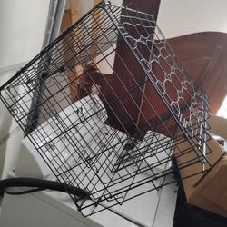 Dog Kennel