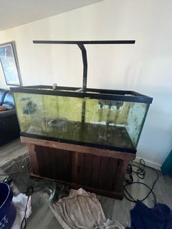 Fast sale ! 75 gallon fish tank / Reef tank