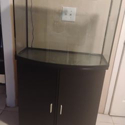 Fish Tank