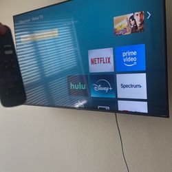 Roku Tv 55in W Mount 