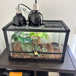 10-Gallon Reptile Terrarium + Lighting Setup