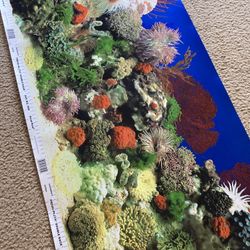 Fish Tank Backing Decoration Film