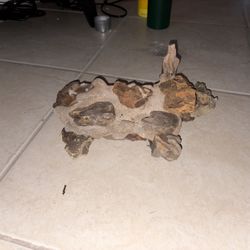Dragon Stone