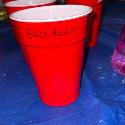 Black Beauty Tomato Plant, Mature 