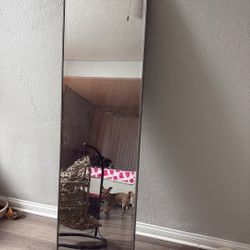 Standing Mirror 