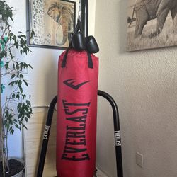 Punching Bag With Stand