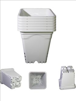 7"x7" Square White Pot, 9" Tall Pack of 5