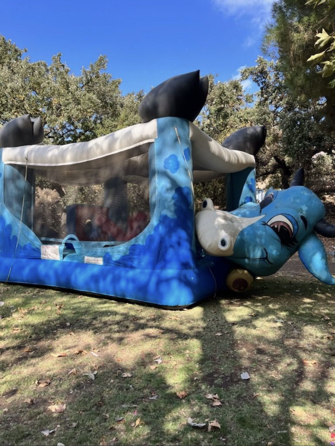 Kids Bounce Houses For Sale