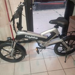Folding E-Bike