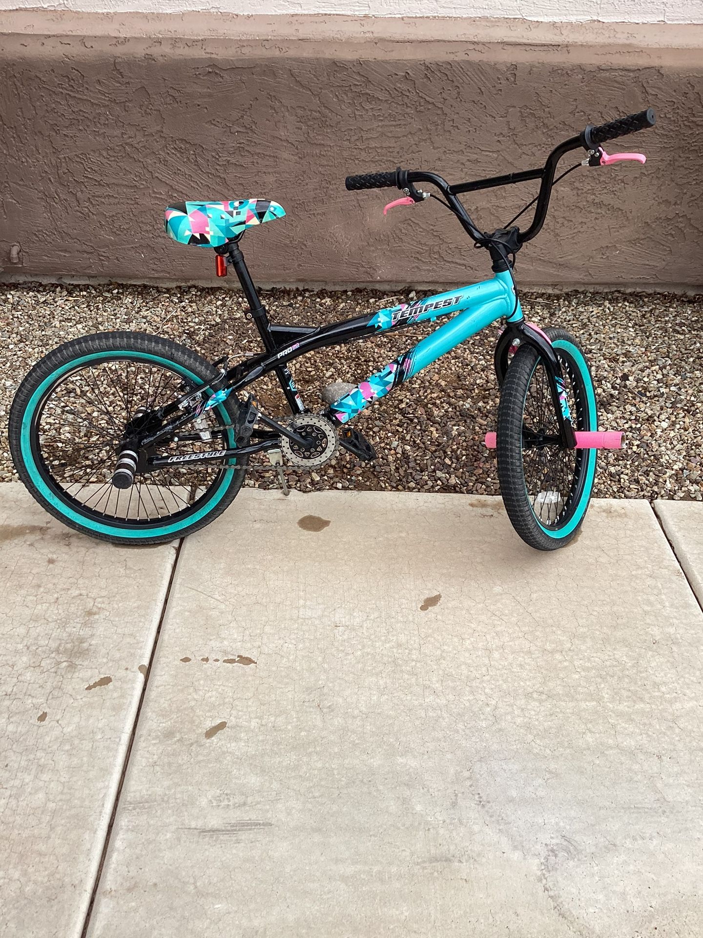 20inch Girls Youth Bicycle 